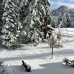 Cosy Lodge Un Rifugio Romantico Nel Cuore Delle Dolomiti