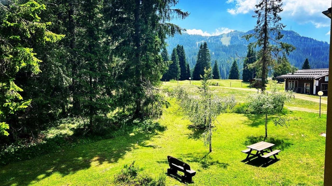 Cosy Un Rifugio Romantico Nel Cuore Delle Dolomiti Appartamento *
