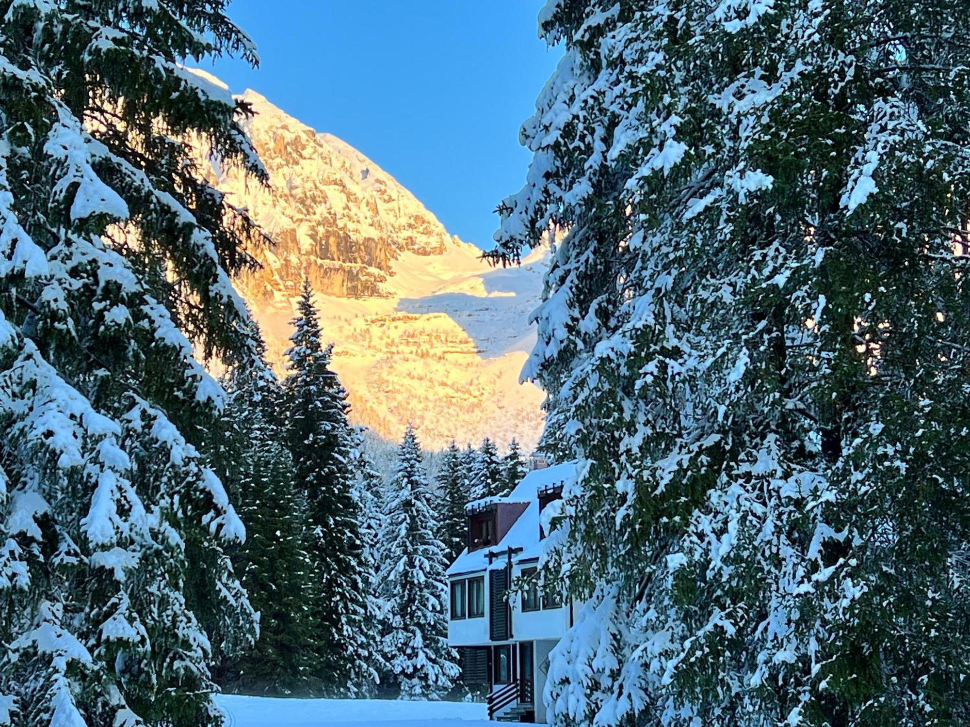 Appartamento Cosy Un Rifugio Romantico Nel Cuore Delle Dolomiti *