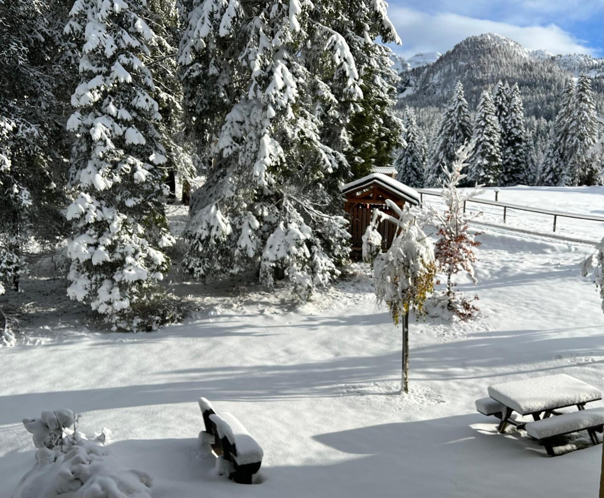 Cosy Un Rifugio Romantico Nel Cuore Delle Dolomiti Appartamento *
