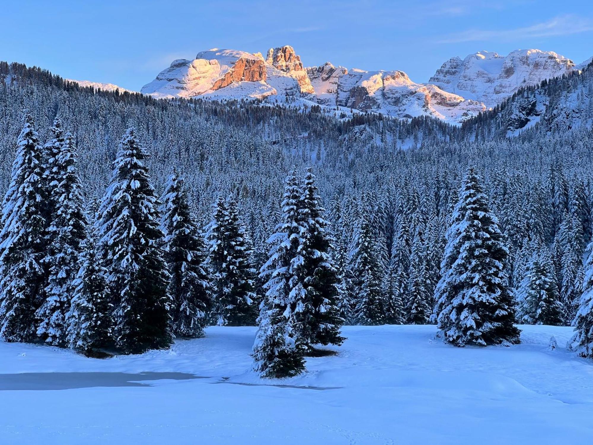Appartamento Cosy Un Rifugio Romantico Nel Cuore Delle Dolomiti Madonna